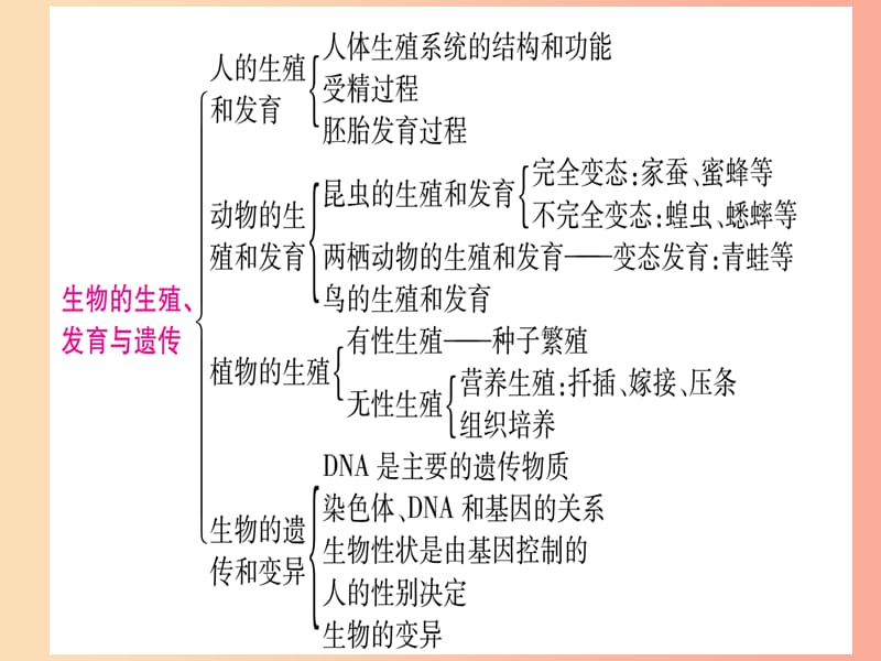 （玉林专版）2019年中考生物总复习 第2部分 知能综合突破 专题6 生物的生殖 发育与遗传课件.ppt_第2页