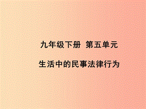 （聊城專版）2019年中考道德與法治總復(fù)習(xí) 九下 第五單元 生活中的民事法律行為課件.ppt