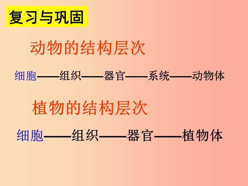 2019年七年级生物上册 2.2.4《单细胞生物》课件2 新人教版.ppt_第2页