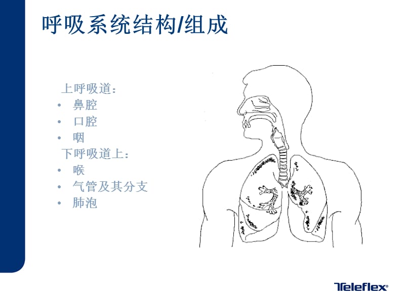 《气管插管培训PART》PPT课件.pptx_第2页