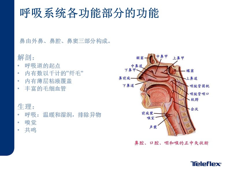 《气管插管培训PART》PPT课件.pptx_第3页