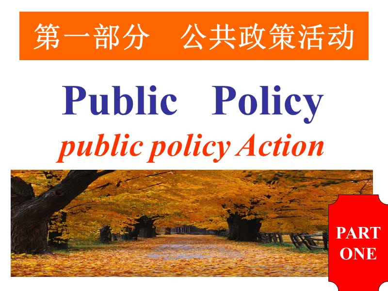 《公共政策活动》PPT课件.ppt_第2页