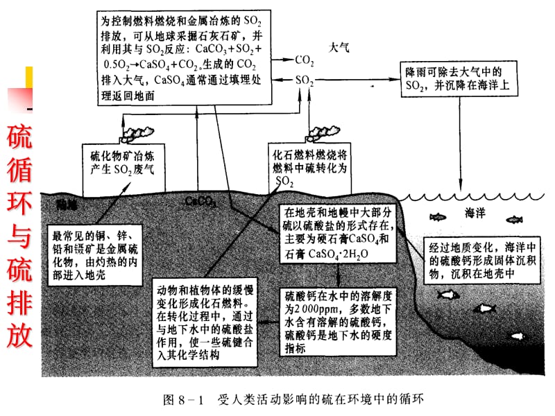 《硫氧化物及其控制》PPT课件.ppt_第3页