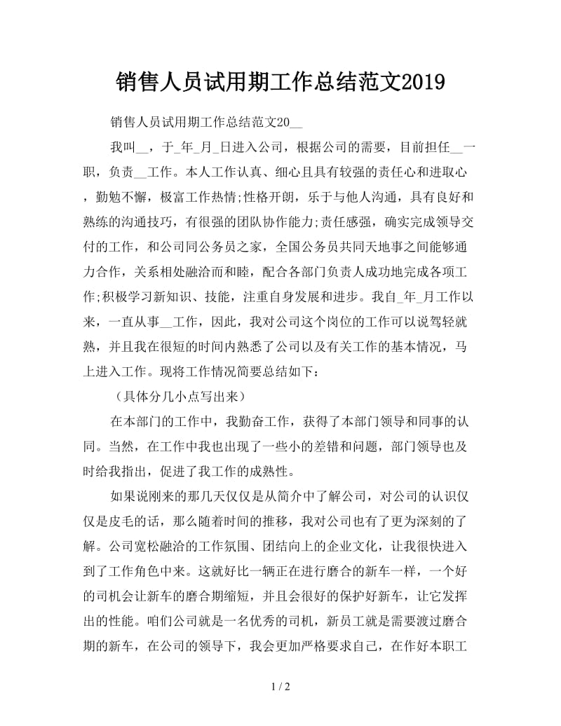 销售人员试用期工作总结范文2019.doc_第1页