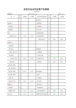 資產(chǎn)負債表、盈余分配表