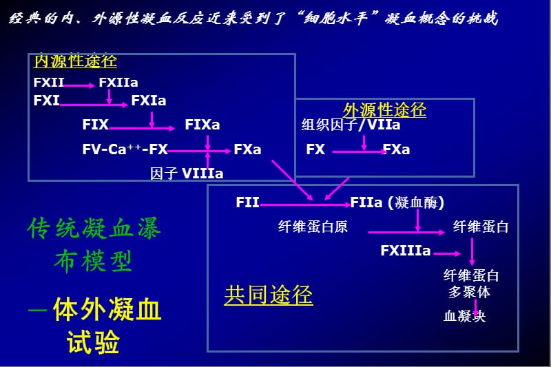 ACT及TEG的原理及操作.ppt_第2页