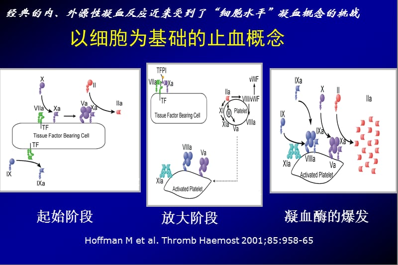 ACT及TEG的原理及操作.ppt_第3页