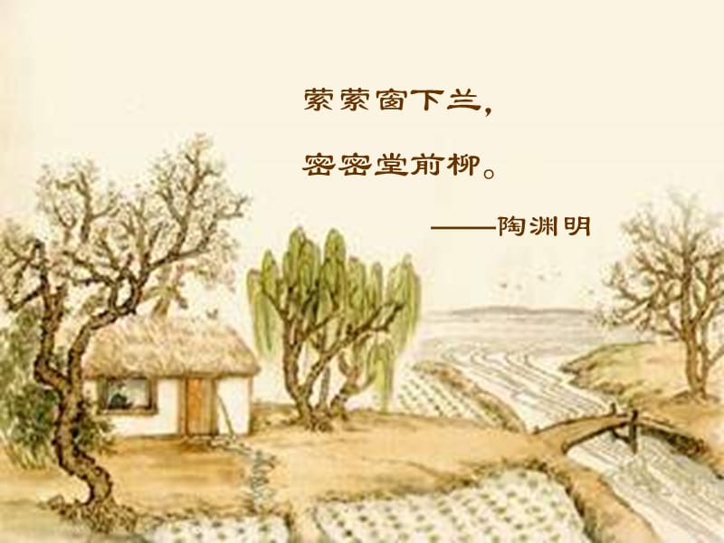 《种树郭橐驼传》PPT课件.ppt_第3页