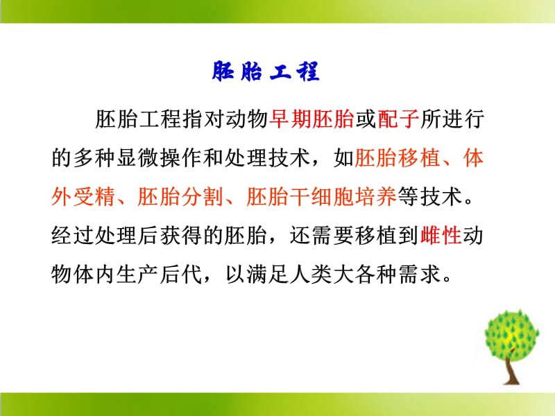 《体内受精和早期胚胎发育》参考课件.ppt_第3页