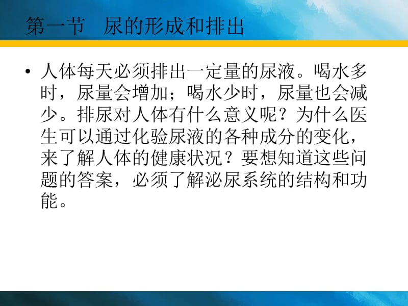 《尿的形成和排出》PPT课件.ppt_第3页