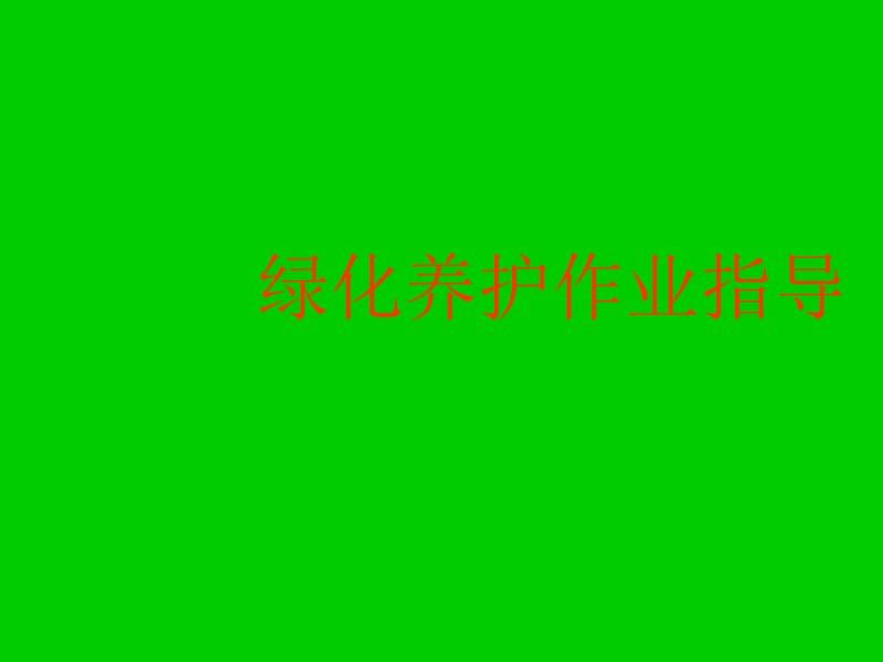 《绿化养护管理》PPT课件.ppt_第1页