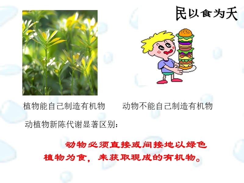 《三大营养物质代谢》PPT课件.ppt_第2页