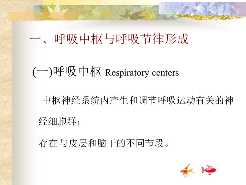 《呼吸运动的调节》PPT课件.ppt_第2页