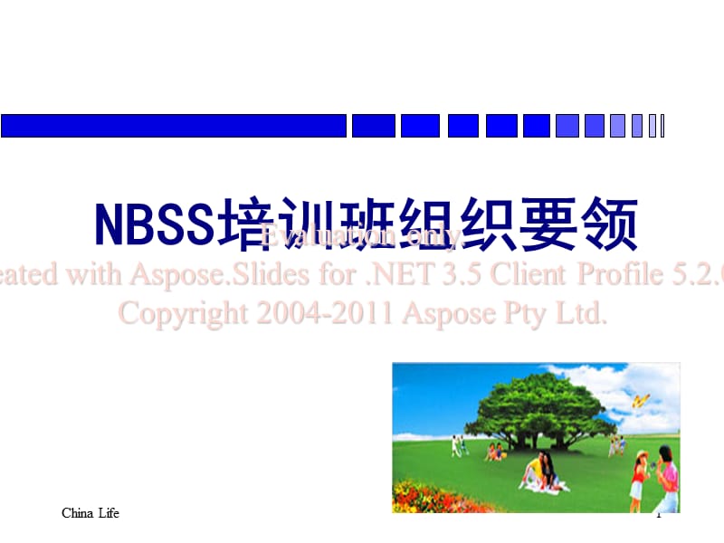 NBSS培训班组织要领30页.ppt_第1页