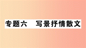 安徽專版2019年七年級(jí)語(yǔ)文上冊(cè)微專題6寫(xiě)景抒情散文習(xí)題講評(píng)課件新人教版.ppt