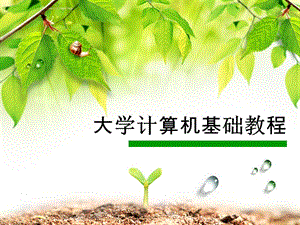 《計(jì)算機(jī)基礎(chǔ)知識(shí)》PPT課件.pptx