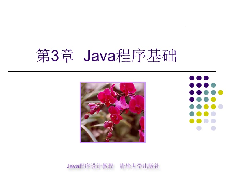 java程序设计教程第3章-Java程序基础.ppt_第1页