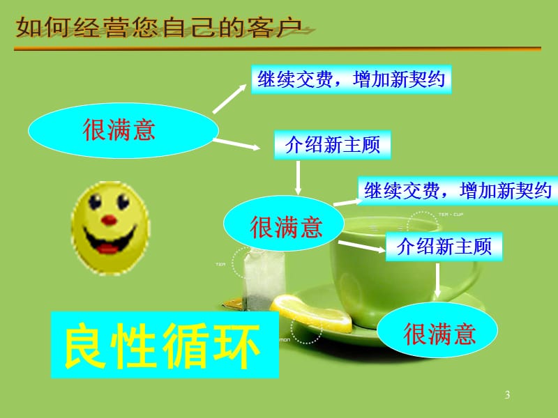 《客户服务的重要性》PPT课件.ppt_第3页