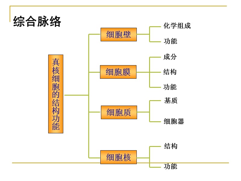 《细胞的结构与功能》PPT课件.ppt_第3页