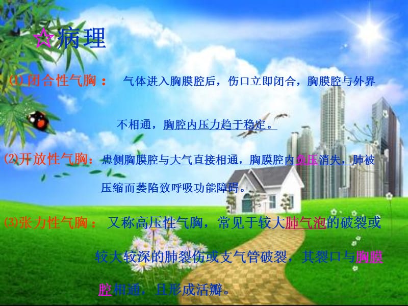 《血气胸的护理》PPT课件.ppt_第3页