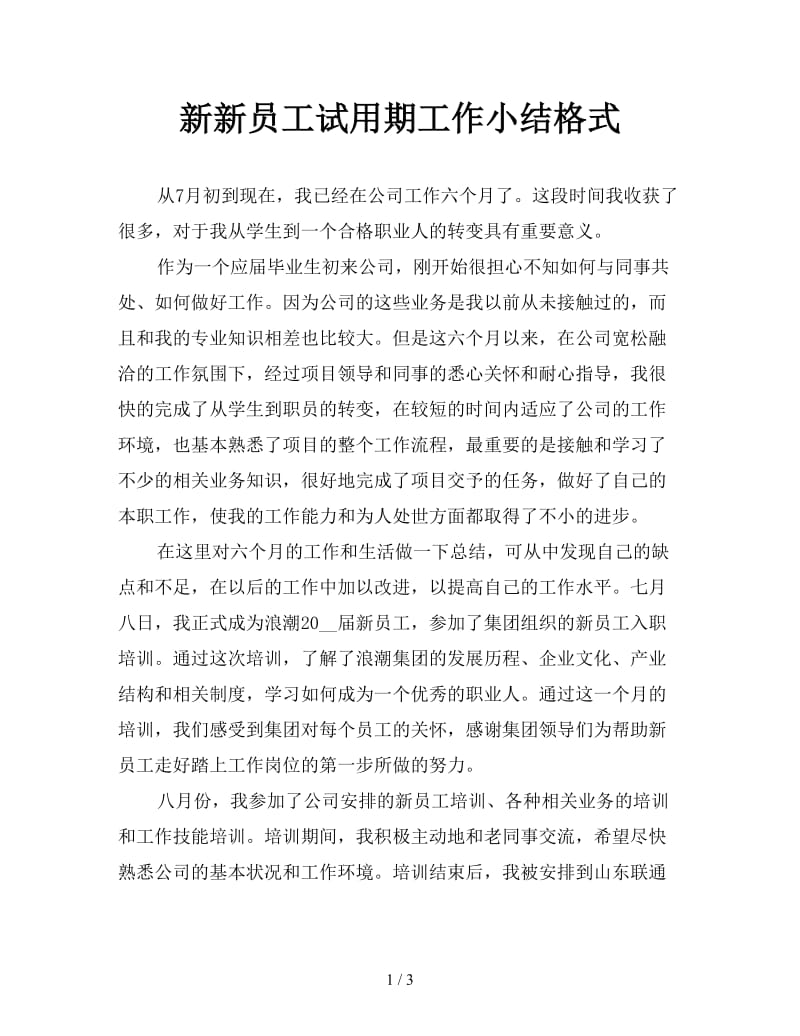 新员工试用期工作小结格式.doc_第1页