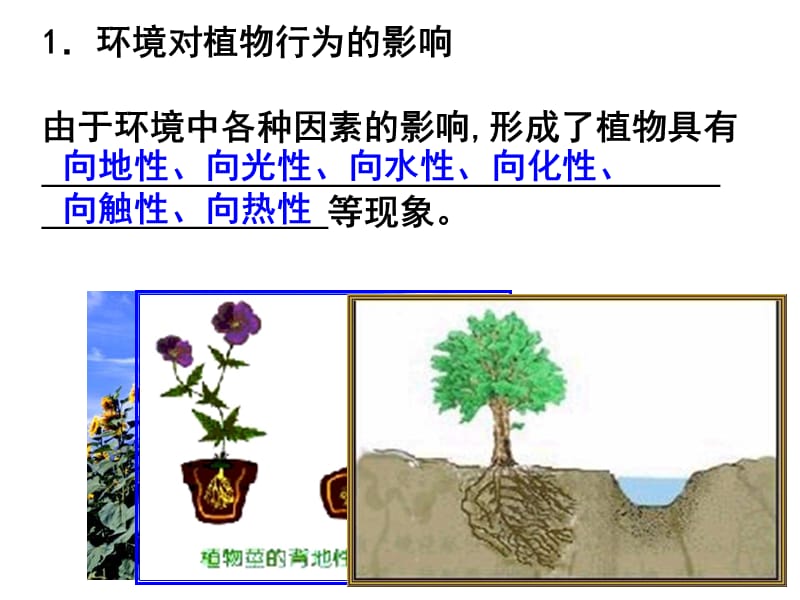 《生命活动的调节》PPT课件.ppt_第3页