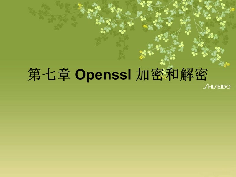 Openssl加密和解密.ppt_第1页