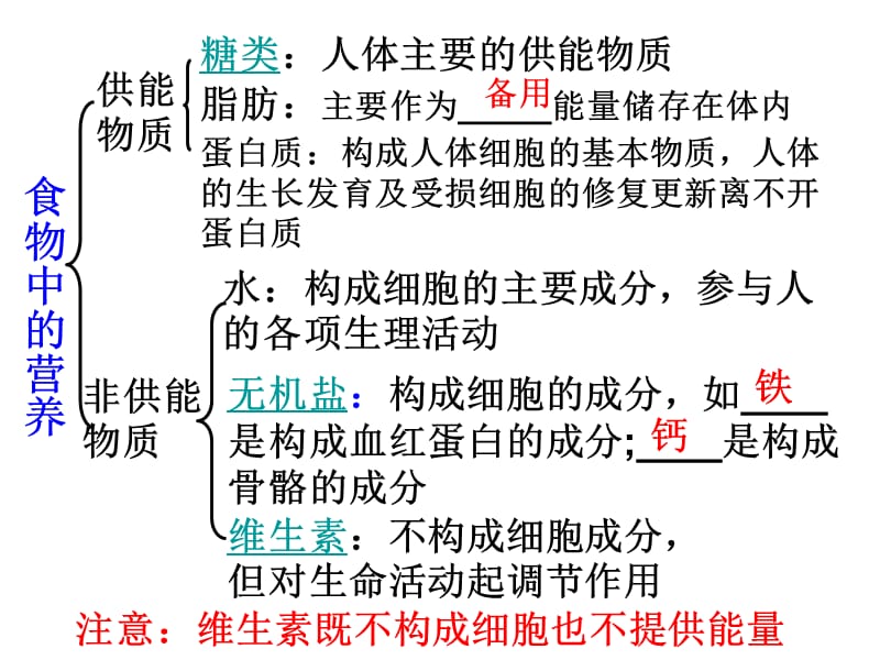 《消化和吸收时》PPT课件.ppt_第2页