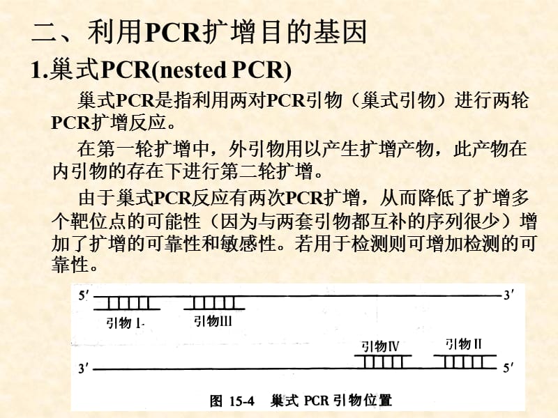 《目的基因的分离》PPT课件.ppt_第1页