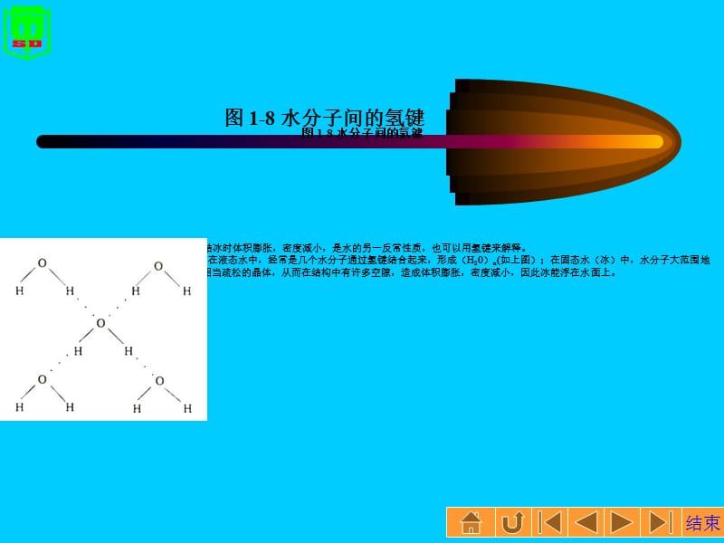 《水分子间的氢键》PPT课件.ppt_第1页