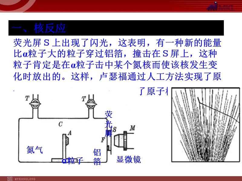 《放射性的应用与防护》.ppt_第3页