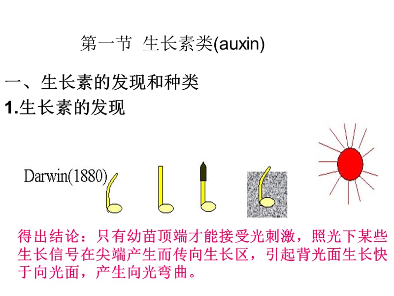 《植物生长物质》PPT课件.ppt_第2页