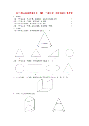 2019年六年級數(shù)學(xué)上冊 《截一個幾何體》同步練習(xí)2 魯教版.doc