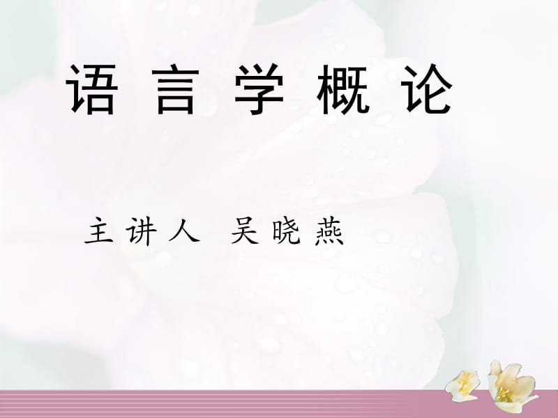 《语言与语言学》PPT课件.ppt_第1页