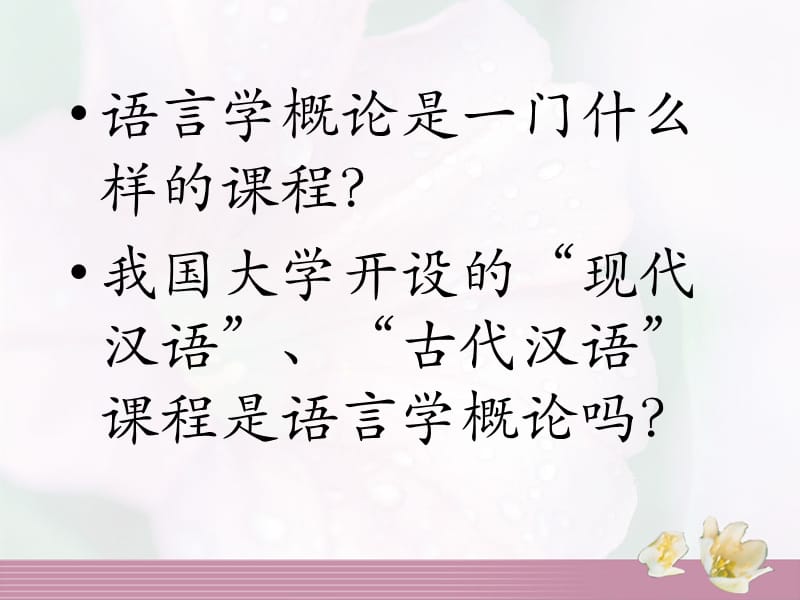 《语言与语言学》PPT课件.ppt_第2页