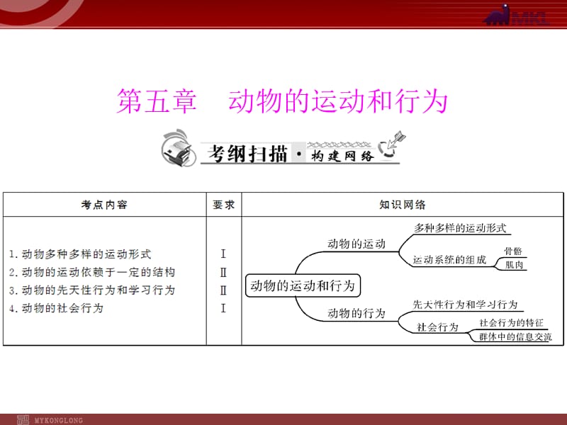 《动物的运动和行为》PPT课件.ppt_第1页