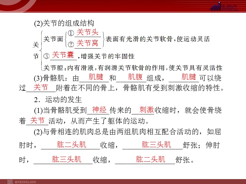 《动物的运动和行为》PPT课件.ppt_第3页