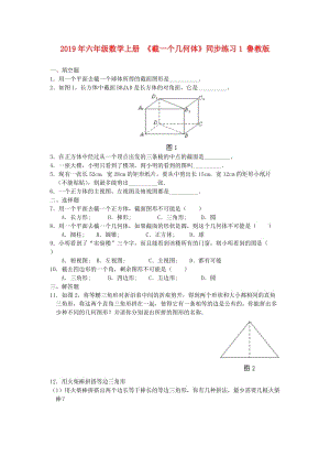 2019年六年級(jí)數(shù)學(xué)上冊(cè) 《截一個(gè)幾何體》同步練習(xí)1 魯教版.doc