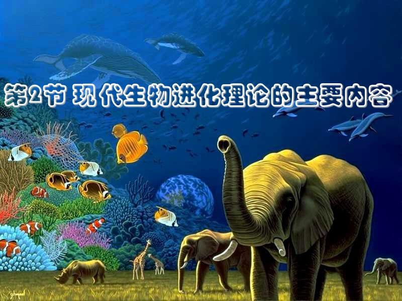 《现代生物进化理论的主要内容》课件.ppt_第1页