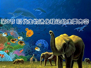 《現(xiàn)代生物進化理論的主要內(nèi)容》課件.ppt