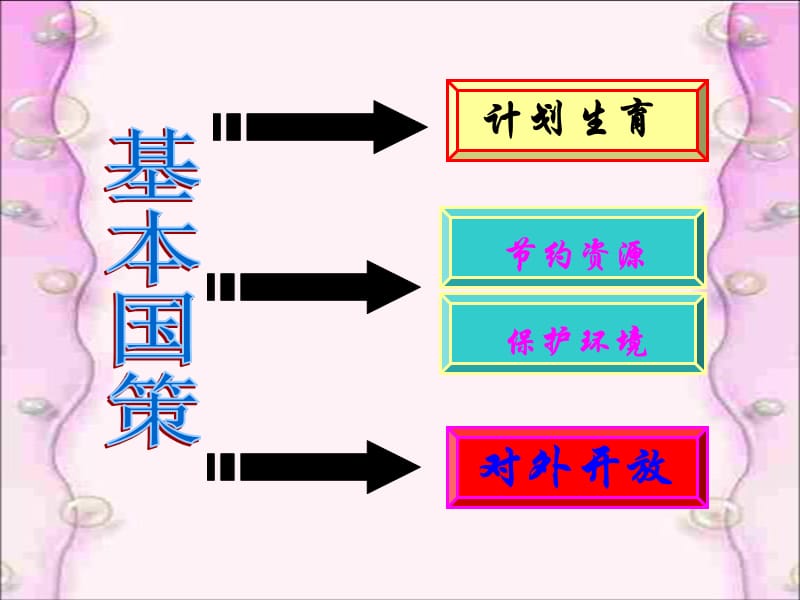 《坚持基本国策》PPT课件.ppt_第2页