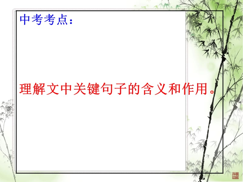 《中考语文阅读复习》PPT课件.ppt_第2页