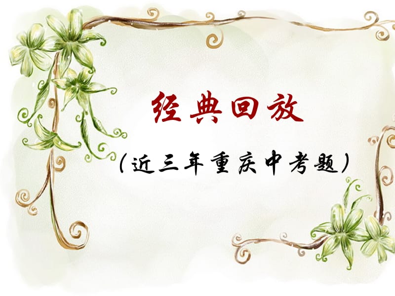 《中考语文阅读复习》PPT课件.ppt_第3页