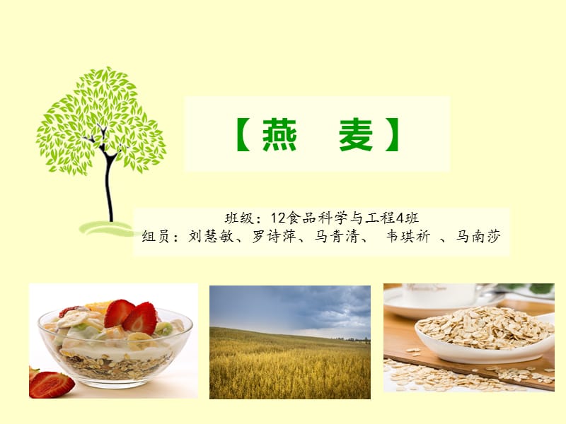 《燕麦的营养价值》PPT课件.ppt_第2页