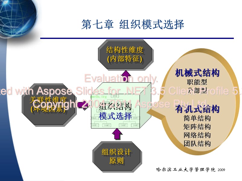 《组织模式选择》PPT课件.ppt_第1页