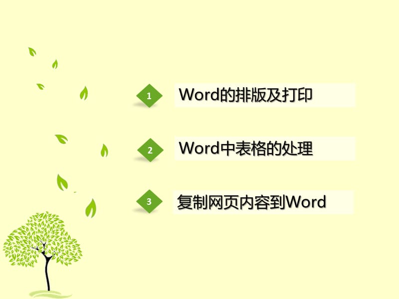 word办公软件技巧分享.pptx_第2页