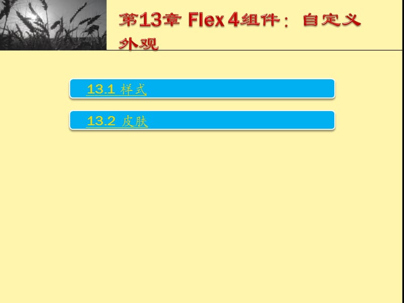 Flex4组件：自定义外观.ppt_第1页