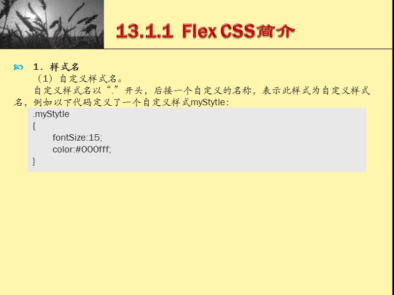 Flex4组件：自定义外观.ppt_第3页