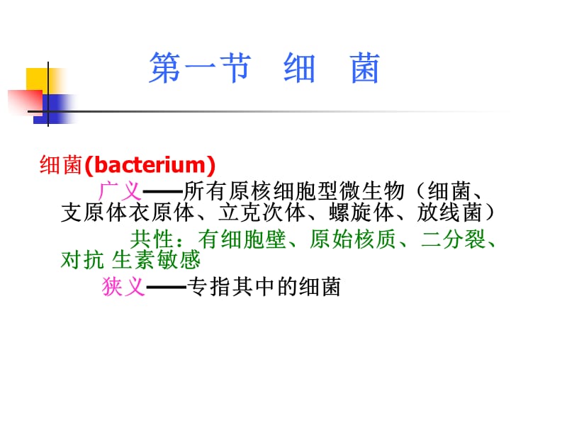 《细菌的形态结构》PPT课件.ppt_第2页