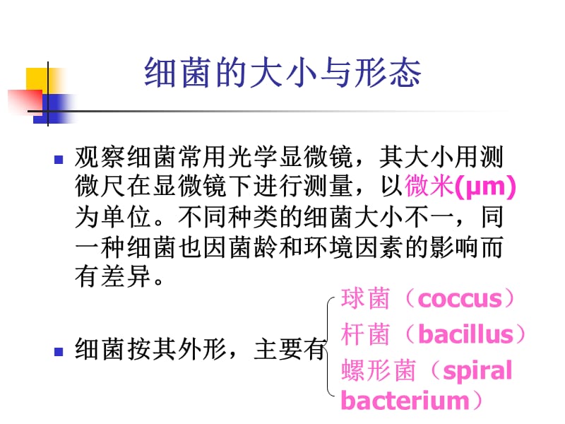 《细菌的形态结构》PPT课件.ppt_第3页